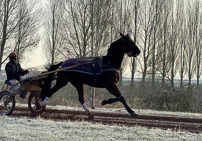 Avenches Training 14jan2022 IMG 2969 Sonny