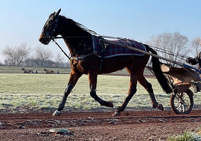 Avenches Training 14jan2022 IMG 3111 Ina