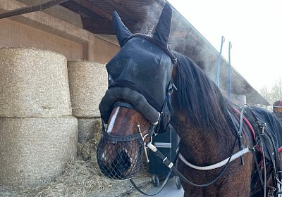 Avenches Training 14jan2022 IMG 3240 Astro