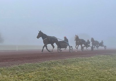 Avenches Training 28-29jan2022 IMG 4014 Noon Daisy Rushmore