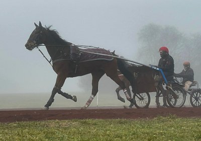Avenches Training 28-29jan2022 IMG 4092 Ina