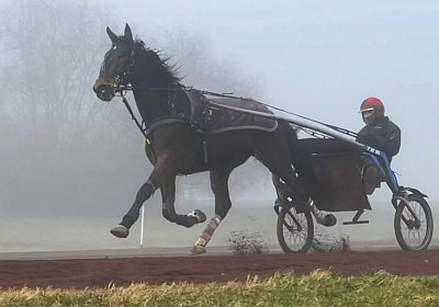 Avenches Training 28-29jan2022 IMG 4108 Ina