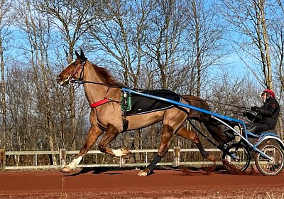 Avenches Training 28-29jan2022 IMG 4344 Cousin