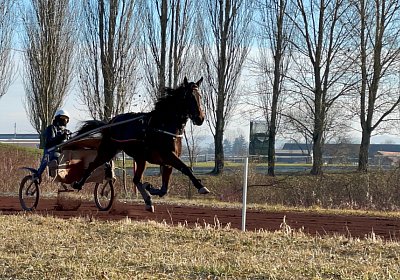 Avenches Training 28-29jan2022 IMG 4413 Fiddle