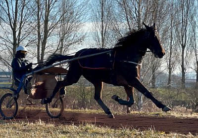 Avenches Training 28-29jan2022 IMG 4415 Fiddle