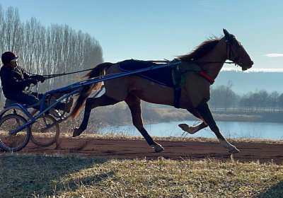 Avenches Training 28-29jan2022 IMG 4419 Cousin