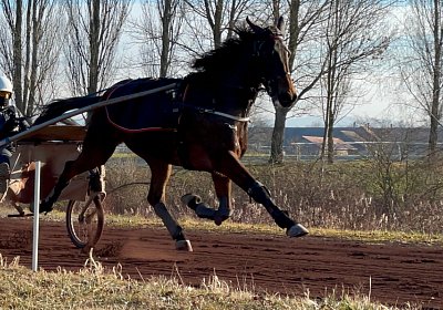 Avenches Training 28-29jan2022 IMG 4445 Fiddle