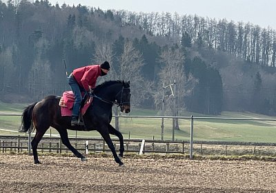 Elgg 12maerz2022 IMG 7511 Candalex