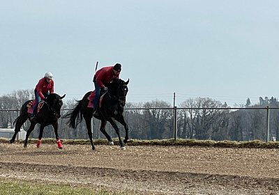 Elgg 12maerz2022 IMG 7516 Candalex