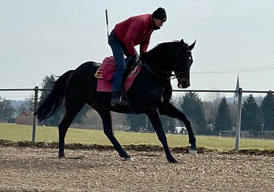 Elgg 12maerz2022 IMG 7530 Candalex