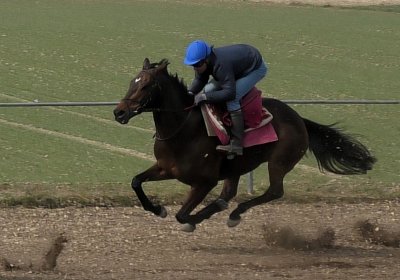 Elgg 12maerz2022 S5770005 Candalex