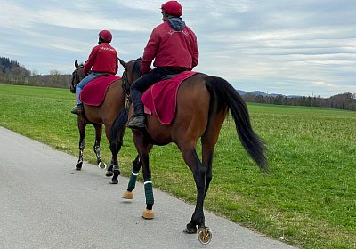 2023 03 23 Elgg IMG 8423 Cuarto Fandango