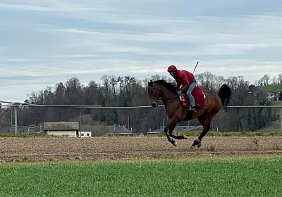 2023 03 23 Elgg N IMG 8447 Cuarto