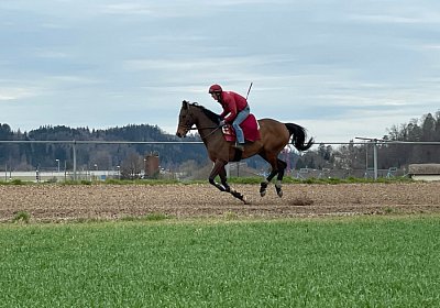 2023 03 23 Elgg N IMG 8451 Cuarto