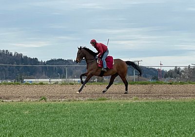 2023 03 23 Elgg N IMG 8452 Cuarto