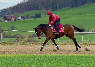 2023 03 23 Elgg N IMG 8471 Fandango