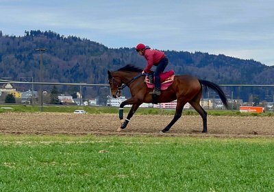 2023 03 23 Elgg N IMG 8482 Fandango