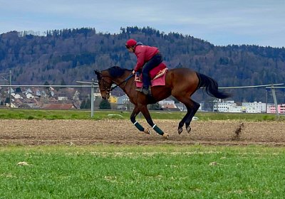 2023 03 23 Elgg N IMG 8484 Fandango