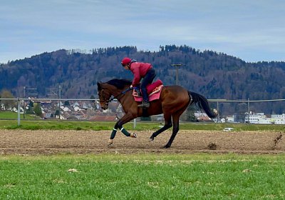 2023 03 23 Elgg N IMG 8485 Fandango