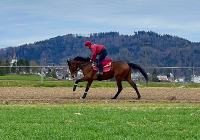 2023 03 23 Elgg N IMG 8486 Fandango