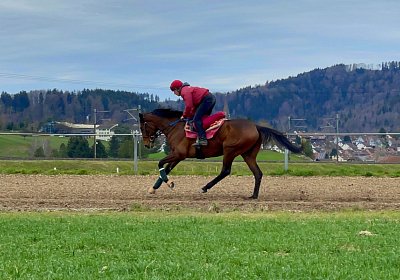 2023 03 23 Elgg N IMG 8489 Fandango