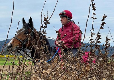 2023 03 23 Elgg N IMG 8558 Fandango