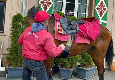 2023 03 23 Elgg N IMG 8584 Fandango