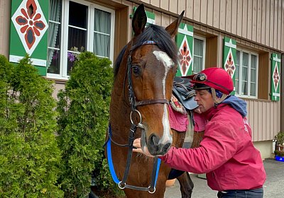 2023 03 23 Elgg N IMG 8585 Fandango