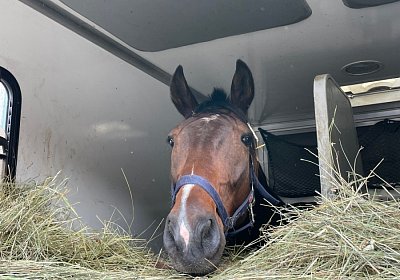 2023 05 26 IMG 1998 Midnight