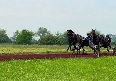 2023 05 26 IMG 2222 Midnight