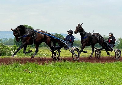 2023 05 26 IMG 2226 Alcide Midnight