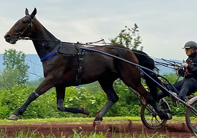 2023 05 26 IMG 2230 Midnight