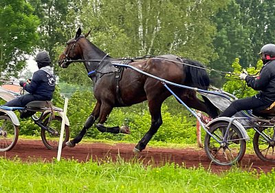 2023 05 26 IMG 2235 Midnight