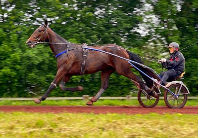 2023 05 26 IMG 2251 Midnight