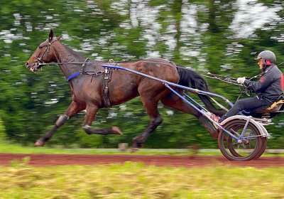 2023 05 26 IMG 2256 Midnight