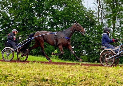 2023 05 26 IMG 2275 Midnight