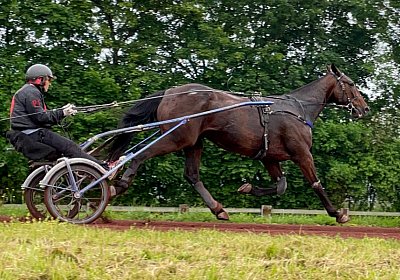 2023 05 26 IMG 2279 Midnight