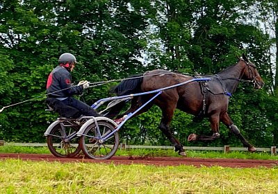 2023 05 26 IMG 2281 Midnight