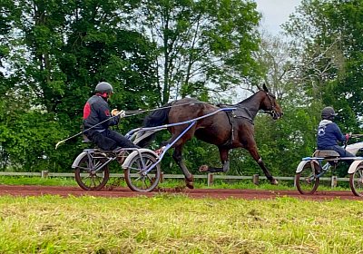 2023 05 26 IMG 2283 Midnight