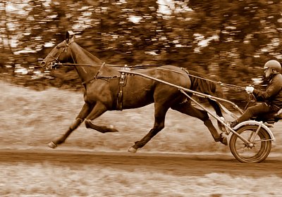 2023 05 26 IMG 2284 Midnight