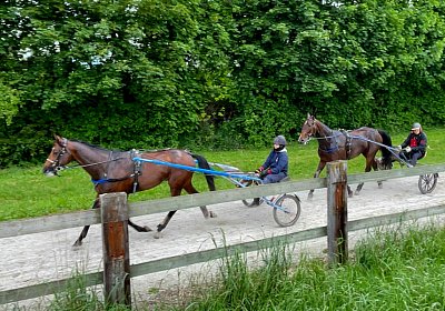 2023 05 26 IMG 2286 Alcide Midnight