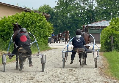 2023 05 26 IMG 2294 Midnight