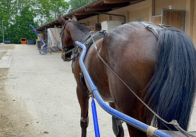 2023 05 26 IMG 2296 Midnight