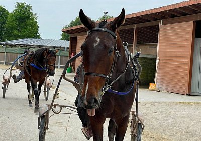 2023 05 26 IMG 2298 Midnight