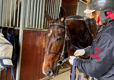 2023 05 26 IMG 2300 Midnight