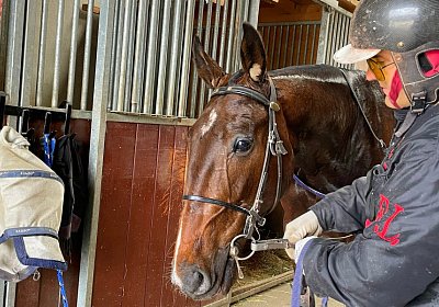 2023 05 26 IMG 2301 Midnight