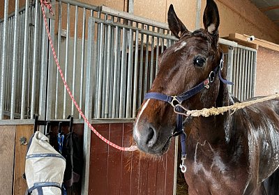 2023 05 26 IMG 2303 Midnight