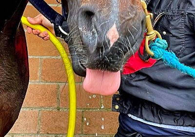 2023 05 26 IMG 2311 Midnight