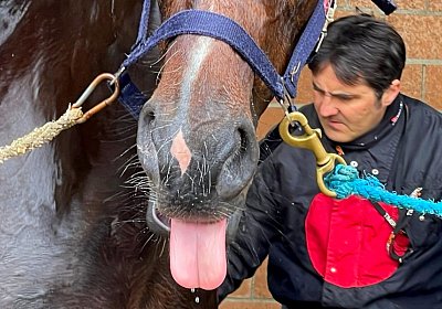 2023 05 26 IMG 2312 Midnight