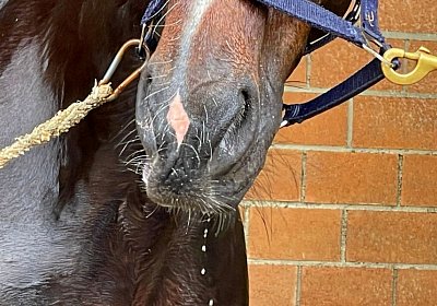 2023 05 26 IMG 2314 Midnight